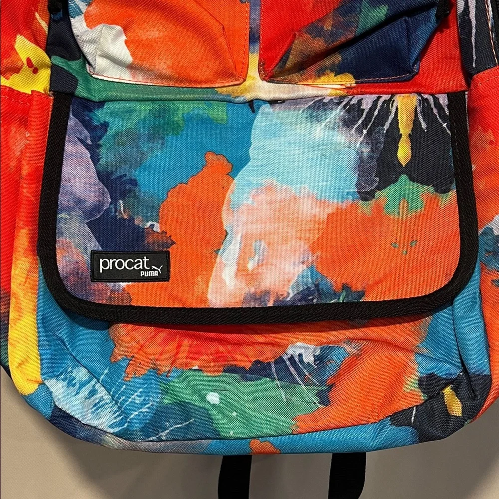 Multicolor Backpack - Picture 2 of 2